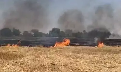 Etawah: गेहूं के अवशेषों में भीषण आग, ग्रामीणों में गुस्सा Etawah: गेहूं के अवशेषों में भीषण आग, ग्रामीणों में गुस्सा