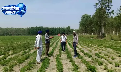 Jalandhar: कम्युनिटी सीड बैंक बाढ़ प्रभावित किसानों की मदद में आगे