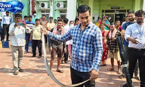 Odisha : मलकानगिरी जिला अस्पताल के अंदर मंदिर से कोबरा को बचाया गया Odisha : मलकानगिरी जिला अस्पताल के अंदर मंदिर से कोबरा को बचाया गया