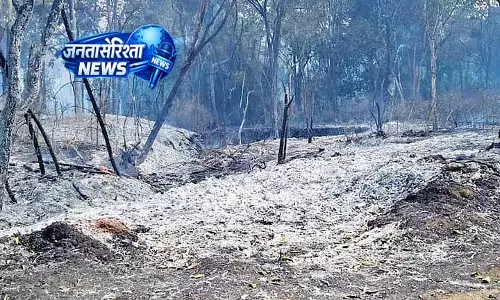 Tamil Nadu: नीलगिरी में आग, पहाड़ी पर दो हफ़्ते से जारी लड़ाई Tamil Nadu: नीलगिरी में आग, पहाड़ी पर दो हफ़्ते से जारी लड़ाई