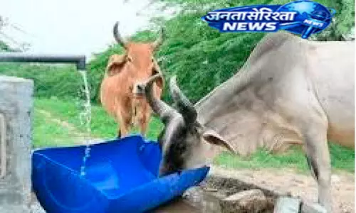 Kerala : पालतू जानवर गर्मी बर्दाश्त नहीं कर पा रहे,कल चार गायों की मौत हो गई Kerala : पालतू जानवर गर्मी बर्दाश्त नहीं कर पा रहे,कल चार गायों की मौत हो गई