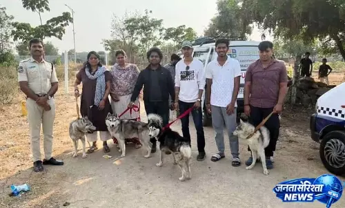 Shankarpally-Patancheru रोड पर कम से कम 40 हस्कीज़ लावारिस हालत में मिले, रेस्क्यू जारी