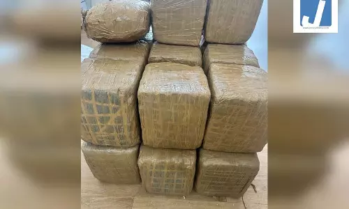 अंतरराज्यीय ड्रग नेटवर्क का भंडाफोड़, 200 किलोग्राम गांजा जब्त