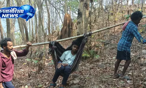 Doli में 8 किमी सफर, इलाज के लिए संघर्ष Doli में 8 किमी सफर, इलाज के लिए संघर्ष