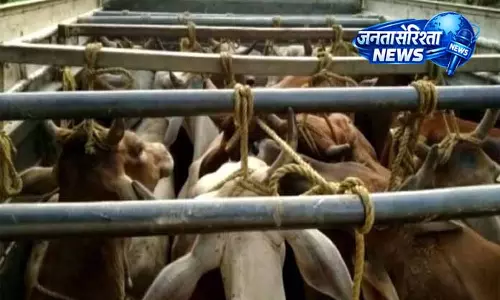 Jammu: 7 गोवंश जानवरों को बचाया गया Jammu: 7 गोवंश जानवरों को बचाया गया