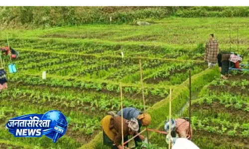 APCNF प्रोग्राम ग्लोबल अवॉर्ड के फाइनल में, भारत को पहचान APCNF प्रोग्राम ग्लोबल अवॉर्ड के फाइनल में, भारत को पहचान