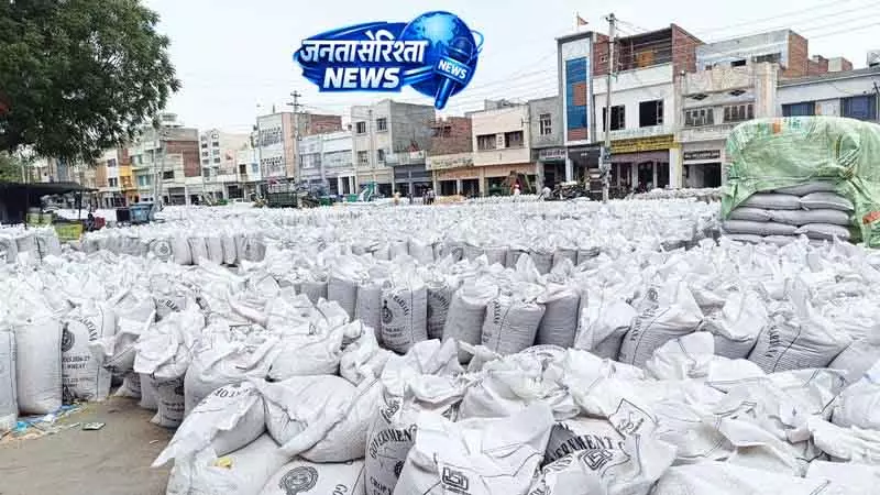 Sirsa की मंडियों में गेहूं उठान में देरी से किसानों को नुकसान Sirsa की मंडियों में गेहूं उठान में देरी से किसानों को नुकसान
