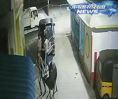 Tamil Nadu : रात में लग्जरी कारों में मवेशियों की तस्करी Tamil Nadu : रात में लग्जरी कारों में मवेशियों की तस्करी