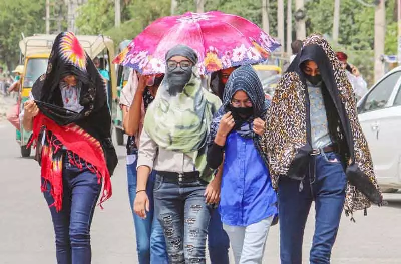 Haryana ने गर्मी से होने वाली बीमारियों की मॉनिटरिंग की निर्देश Haryana ने गर्मी से होने वाली बीमारियों की मॉनिटरिंग की निर्देश