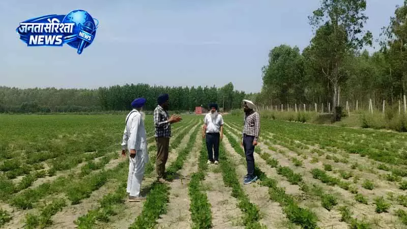 Jalandhar: कम्युनिटी सीड बैंक बाढ़ प्रभावित किसानों की मदद में आगे Jalandhar: कम्युनिटी सीड बैंक बाढ़ प्रभावित किसानों की मदद में आगे