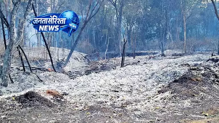 Tamil Nadu: नीलगिरी में आग, पहाड़ी पर दो हफ़्ते से जारी लड़ाई Tamil Nadu: नीलगिरी में आग, पहाड़ी पर दो हफ़्ते से जारी लड़ाई