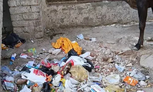 Sirsa में सफाई में लापरवाही, MC ने प्राइवेट एजेंसी को नोटिस भेजा