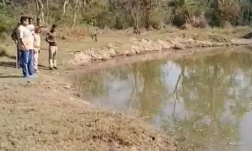 Haridwar: वन विभाग ने तैयार किए नए जल स्रोत