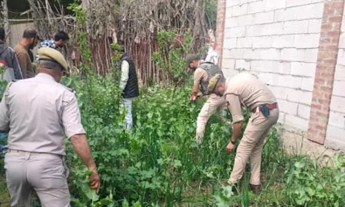 जम्मू-कश्मीर: सोपोर में अफीम की खेती करने वालों पर पुलिस की बड़ी कार्रवाई, नष्ट की फसल जम्मू-कश्मीर: सोपोर में अफीम की खेती करने वालों पर पुलिस की बड़ी कार्रवाई, नष्ट की फसल