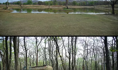 बारनवापारा अभयारण्य, पानी और आवास प्रबंधन का मिसाल बारनवापारा अभयारण्य, पानी और आवास प्रबंधन का मिसाल