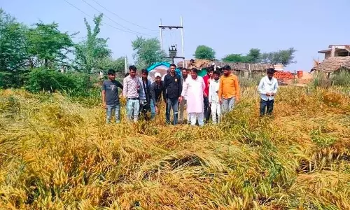 Lucknow: कई जिलों में तेज हवाओं और बारिश का असर