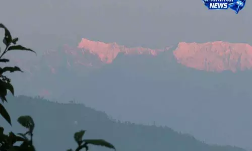 Nepal एयरलाइंस ने भारत के नक्शे में गलत प्रोजेक्शन पर माफी मांगी