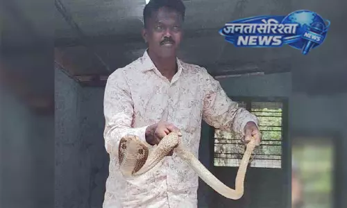 Kerala : घर में पकड़ा गया कोबरा सांप Kerala : घर में पकड़ा गया कोबरा सांप