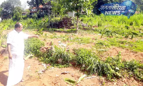 Kerala : वडसेरीकरा में जंगली हाथियों का आतंक,किसानों की फसलें तबाह Kerala : वडसेरीकरा में जंगली हाथियों का आतंक,किसानों की फसलें तबाह