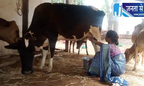 बिहान से बदली जिंदगी, गुंजवती पेगड़ बनीं लखपति दीदी बिहान से बदली जिंदगी, गुंजवती पेगड़ बनीं लखपति दीदी
