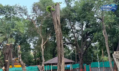 पुणे में मेयर के बंगले पर पेड़ काटने को लेकर विवाद, PMC ने जांच शुरू की पुणे में मेयर के बंगले पर पेड़ काटने को लेकर विवाद, PMC ने जांच शुरू की