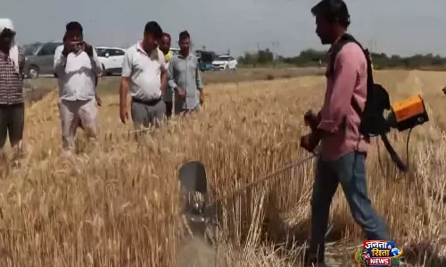 Uttar Pradesh में पराली जलाने की समस्या का मिला स्मार्ट समाधान Uttar Pradesh में पराली जलाने की समस्या का मिला स्मार्ट समाधान