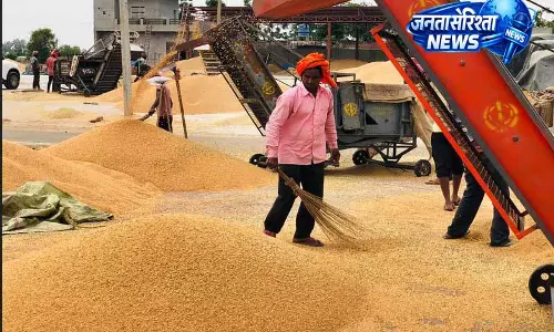 Jalandhar district में सरकारी खरीद केंद्रों पर गेहूं की भारी बिक्री Jalandhar district में सरकारी खरीद केंद्रों पर गेहूं की भारी बिक्री