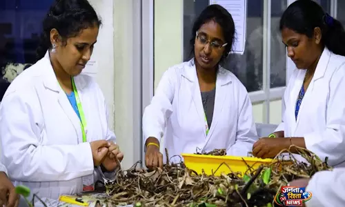 Tiruchirappalli के इकोलॉजिस्ट ने जलकुंभी को टिकाऊ पैकेजिंग पेपर में बदला Tiruchirappalli के इकोलॉजिस्ट ने जलकुंभी को टिकाऊ पैकेजिंग पेपर में बदला