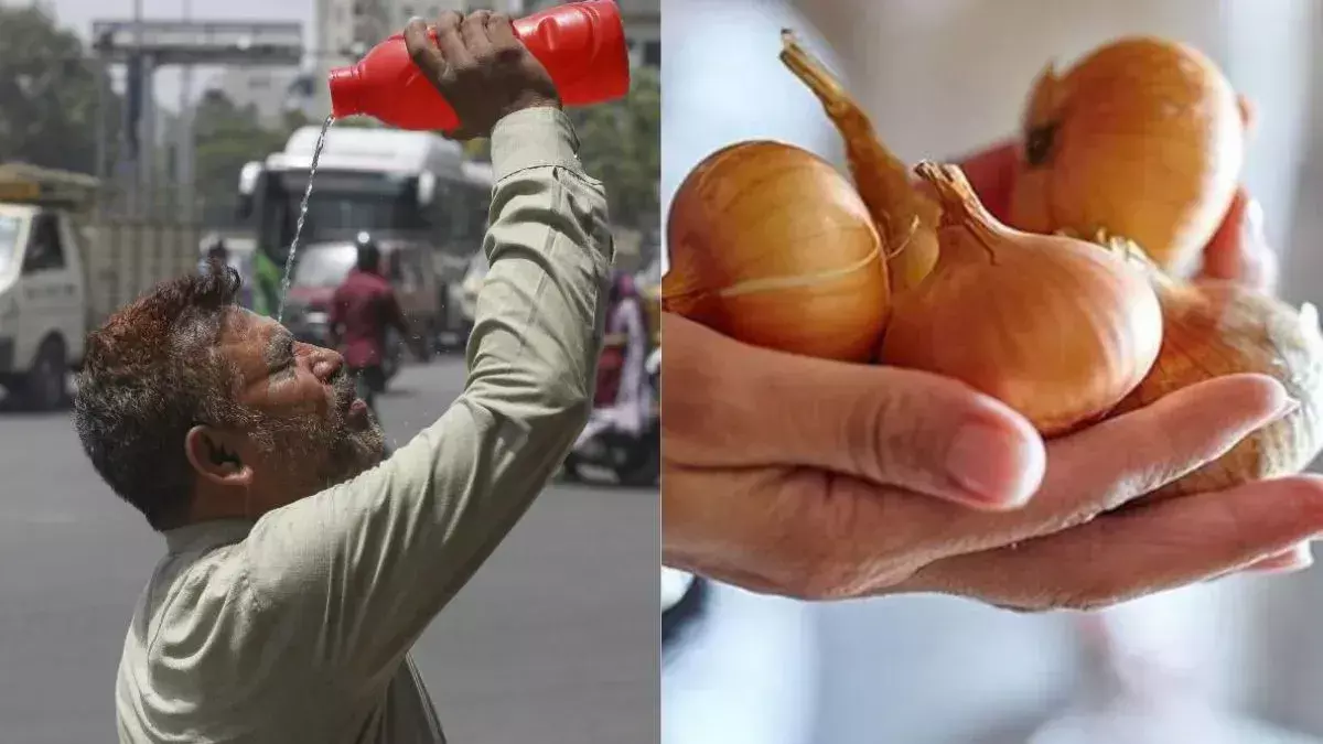 प्याज से हीट स्ट्रोक से बचने की बात: सिंधिया का दावा और वैज्ञानिक राय प्याज से हीट स्ट्रोक से बचने की बात: सिंधिया का दावा और वैज्ञानिक राय