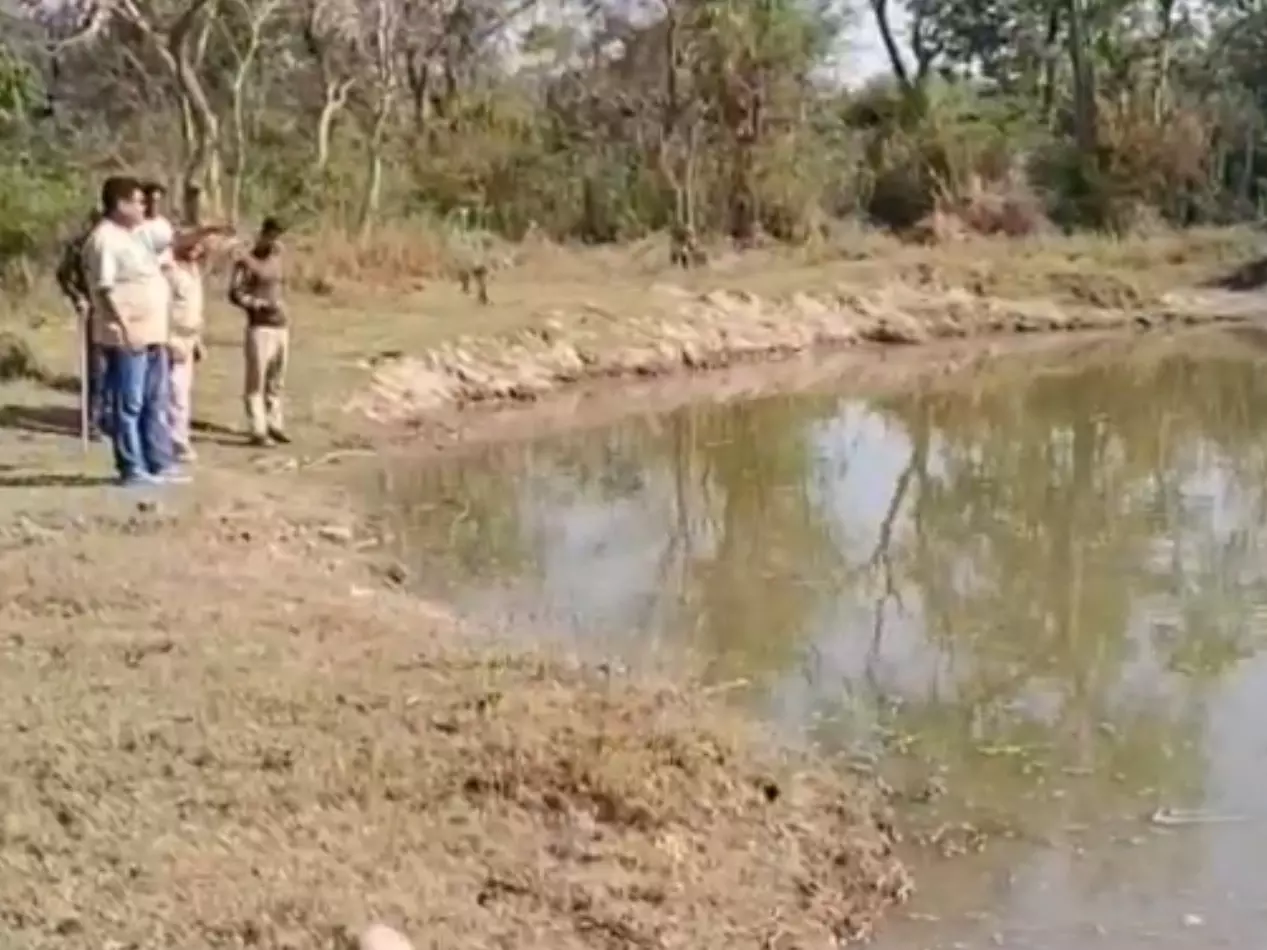 Haridwar: वन विभाग ने तैयार किए नए जल स्रोत Haridwar: वन विभाग ने तैयार किए नए जल स्रोत