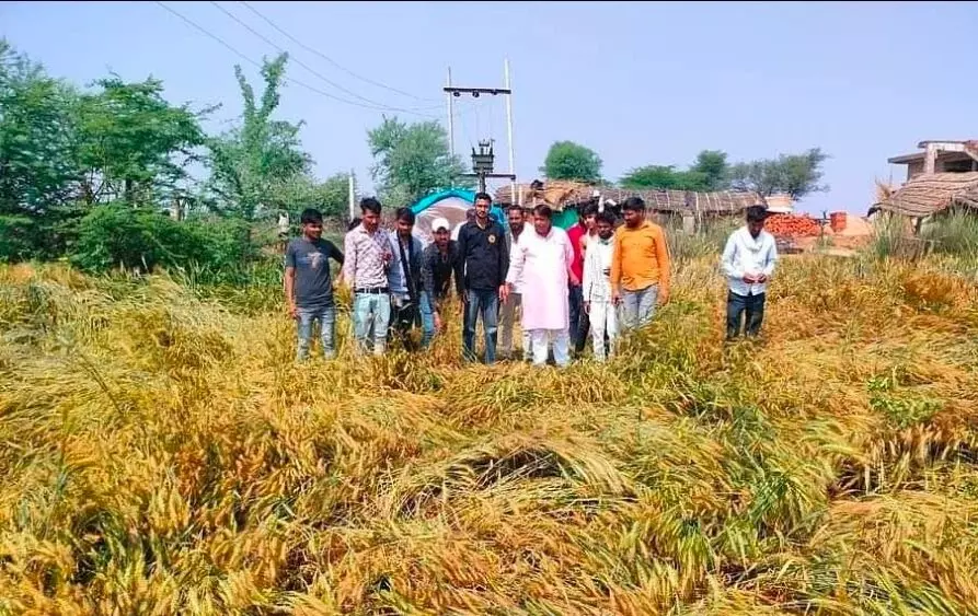 Lucknow: कई जिलों में तेज हवाओं और बारिश का असर Lucknow: कई जिलों में तेज हवाओं और बारिश का असर