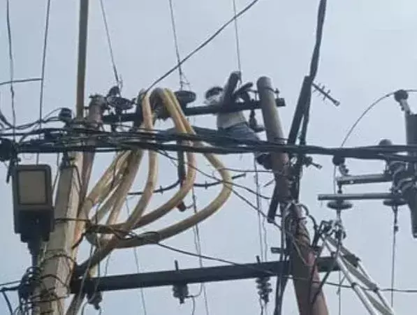 Farrukhabad: नवाबगंज में फीडर ब्रेकडाउन से 22 गांव अंधेरे में Farrukhabad: नवाबगंज में फीडर ब्रेकडाउन से 22 गांव अंधेरे में