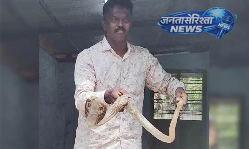 Kerala : घर में पकड़ा गया कोबरा सांप Kerala : घर में पकड़ा गया कोबरा सांप