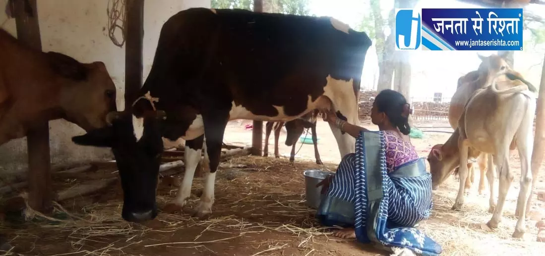 बिहान से बदली जिंदगी, गुंजवती पेगड़ बनीं लखपति दीदी बिहान से बदली जिंदगी, गुंजवती पेगड़ बनीं लखपति दीदी