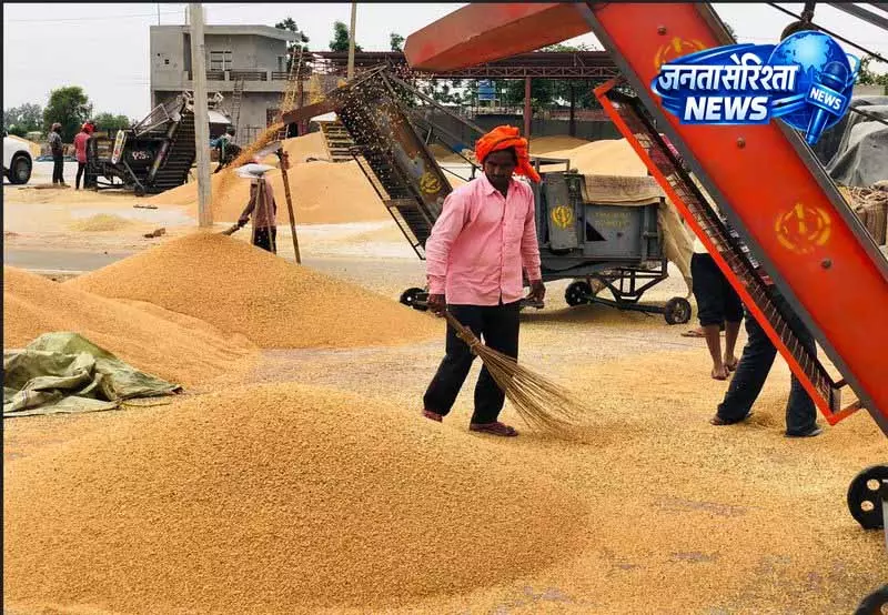 Jalandhar district में सरकारी खरीद केंद्रों पर गेहूं की भारी बिक्री Jalandhar district में सरकारी खरीद केंद्रों पर गेहूं की भारी बिक्री