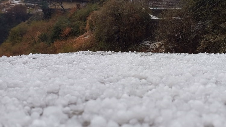 Mussoorie: मसूरी में बारिश और ओलावृष्टि से तापमान में गिरावट Mussoorie: मसूरी में बारिश और ओलावृष्टि से तापमान में गिरावट
