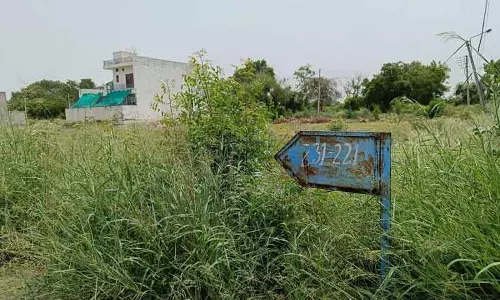 Bhiwani: टाउन प्लानर का तबादला, विधायक के रिश्तेदारों पर अवैध कॉलोनी बनाने का मामला Bhiwani: टाउन प्लानर का तबादला, विधायक के रिश्तेदारों पर अवैध कॉलोनी बनाने का मामला