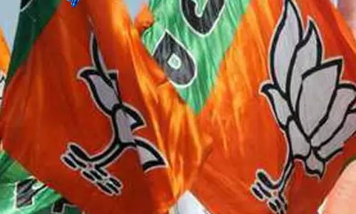 AAP के आरोपों पर BJP का पलटवार, आज जनसभा