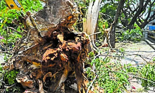 Karnataka : ओलावृष्टि और भारी बारिश के बाद शहर में अव्यवस्था Karnataka : ओलावृष्टि और भारी बारिश के बाद शहर में अव्यवस्था