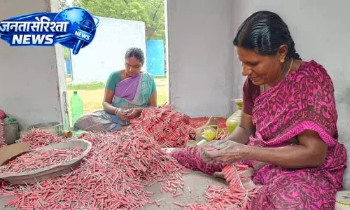 Erode में सुरक्षा को लेकर बड़ा फैसला, पटाखा निर्माण सीमित Erode में सुरक्षा को लेकर बड़ा फैसला, पटाखा निर्माण सीमित