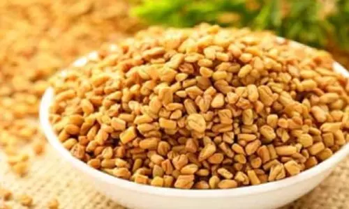 गर्मियों में करते हैं मेथी दाने का सेवन, जानें क्या कहता है आयुर्वेद