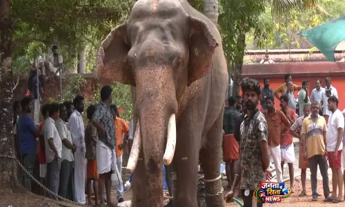 मंदिर उत्सव के लिए लाया गया हाथी Angamaly के पास बेकाबू हुआ, एक की मौत, महावत घायल मंदिर उत्सव के लिए लाया गया हाथी Angamaly के पास बेकाबू हुआ, एक की मौत, महावत घायल