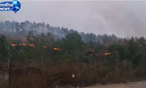 कुंवरपुर जंगल में भीषण आग, एक किलोमीटर क्षेत्र प्रभावित कुंवरपुर जंगल में भीषण आग, एक किलोमीटर क्षेत्र प्रभावित