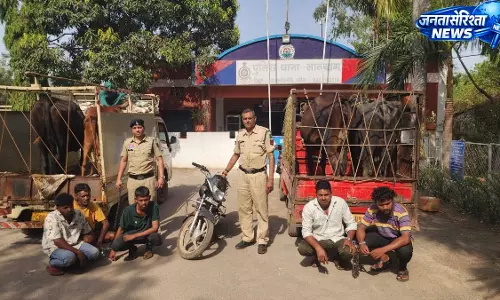राजनांदगांव में मवेशी चोरी का खुलासा, 5 आरोपी गिरफ्तार राजनांदगांव में मवेशी चोरी का खुलासा, 5 आरोपी गिरफ्तार