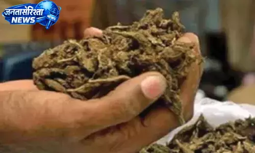 Tirupati में गांजा रोकने के लिए मेडिकल टेस्ट किट शुरू Tirupati में गांजा रोकने के लिए मेडिकल टेस्ट किट शुरू