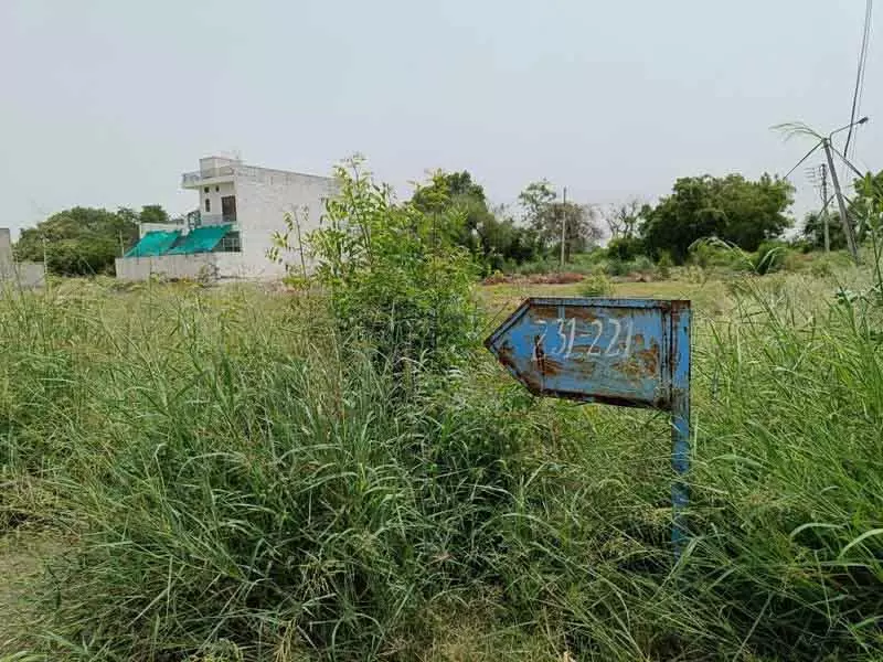 Bhiwani: टाउन प्लानर का तबादला, विधायक के रिश्तेदारों पर अवैध कॉलोनी बनाने का मामला Bhiwani: टाउन प्लानर का तबादला, विधायक के रिश्तेदारों पर अवैध कॉलोनी बनाने का मामला
