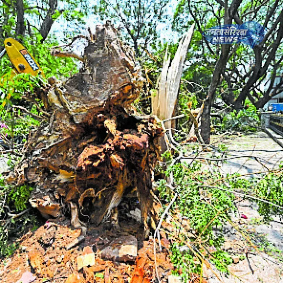Karnataka : ओलावृष्टि और भारी बारिश के बाद शहर में अव्यवस्था Karnataka : ओलावृष्टि और भारी बारिश के बाद शहर में अव्यवस्था