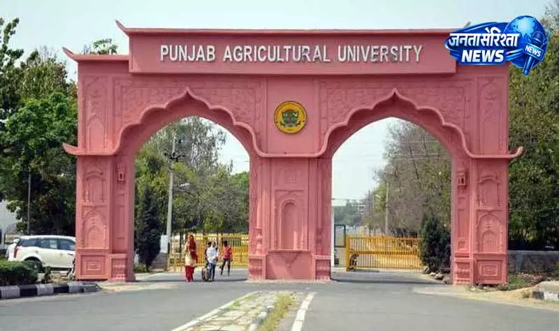 Ludhiana: साइकिल प्रेमियों के लिए मज़ेदार इवेंट आयोजित Ludhiana: साइकिल प्रेमियों के लिए मज़ेदार इवेंट आयोजित