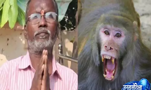 Telangana: बंदर के हमले से बचने की कोशिश में व्यक्ति की मौत, लापरवाही के आरोप उठे