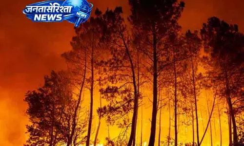 पश्चिमी America में जंगल की आग का खतरा, AI से जल्द पता लगाने की पहल पश्चिमी America में जंगल की आग का खतरा, AI से जल्द पता लगाने की पहल